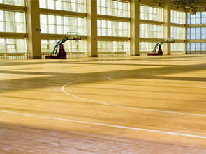 森體木業(yè) 圖 實(shí)木運(yùn)動(dòng)地板價(jià)格 松原實(shí)木運(yùn)動(dòng)地板